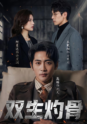 双生灼骨（60集）直接追到结尾的短剧大全
