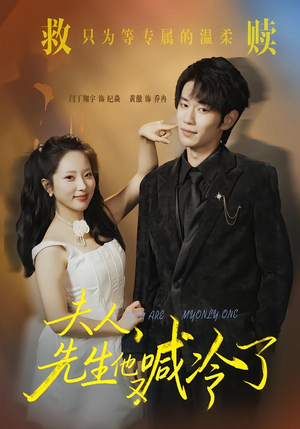 夫人，先生他又喊冷了（60集）热门短剧全集观看