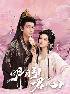 明月引君心（74集）短剧全系列免费畅享