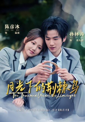 月光下的荆棘鸟（80集）好看短剧又来了