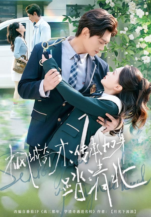 枫城奇才：传承加身踏清北（80集） 好看的短剧来了