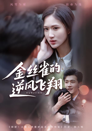 金丝雀的逆风飞翔（80集） 零花钱看整部短剧的网站