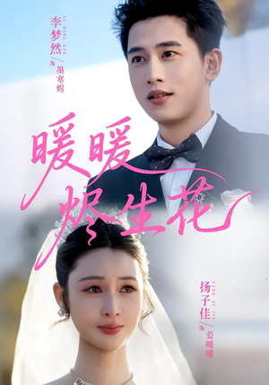 暖暖烬生花（65集）短剧上头又好看