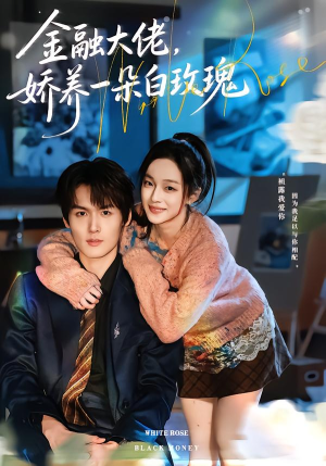 金融大佬，娇养一朵白玫瑰（70集）热门短剧推荐分享