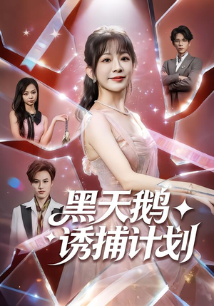 黑天鹅诱捕计划（81集）短剧熬夜也想看完的短剧