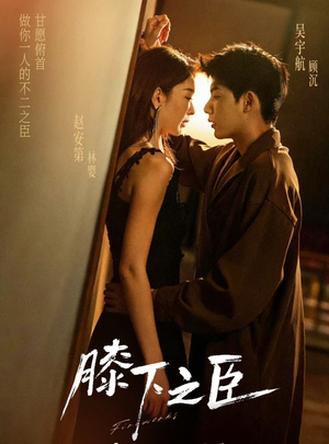 膝下之臣（56集）全网短剧抢先看全集