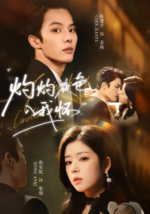 灼灼夜色入我怀（60集）红果短剧免费看