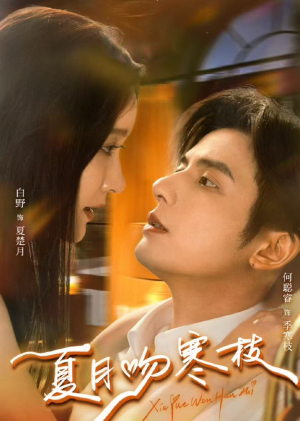 夏月吻寒枝（50集）好看又精彩的短剧