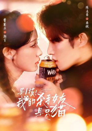 别摸！我的杀手女友是只猫（60集）每天更新短剧一起来追吧