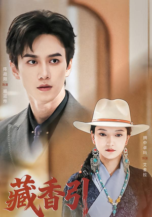 藏香引（63集）短剧全集完整版