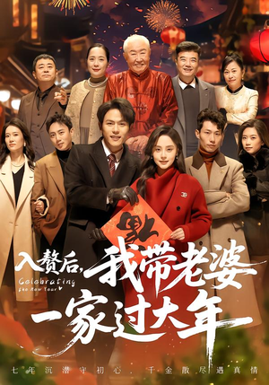 入赘后，我带老婆一家过大年（60集）一口气看完了整部短剧