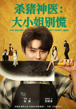 杀猪神医，大小姐别慌（80集）热播短剧抢先看后续