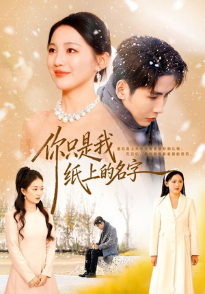 你只是我纸上的名字（68集）热播短剧推荐精彩片段