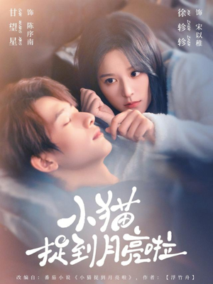 小猫捉到月亮啦（80集）超级好看的短剧推荐