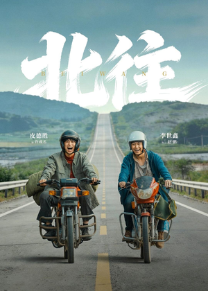 北往（61集）超好看短剧追不停