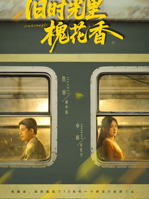 旧时光里槐花香（70集）热播短剧抢先看全集