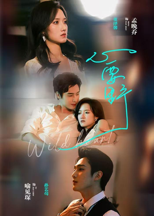 心要野（62集）无需付费短剧全集免费看