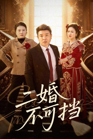 二婚不可挡（36集）精彩短剧又来了