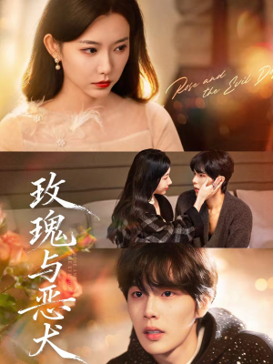 玫瑰与恶犬（80集）短剧大结局合集放送