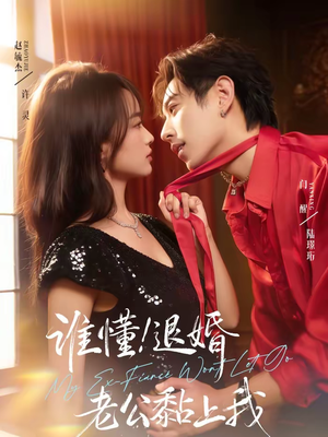 谁懂！退婚老公黏上我（64集）短剧前十排行榜