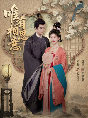 唯有相思意（100集）最新火爆短剧抢先看全集