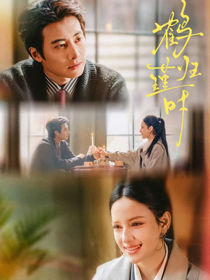 鹤归瑾时（81集）超级好看的短剧推荐