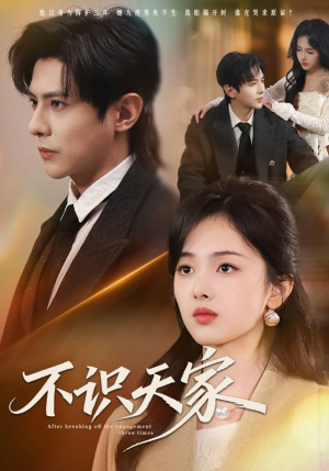 不识天家（69集）温柔追捕短剧剧情