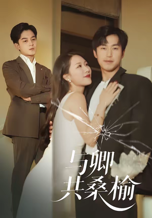 与卿共桑榆（63集）好评如潮的排行榜前十短剧