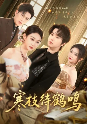 寒枝待鹤鸣（70集）超甜短剧抢先看