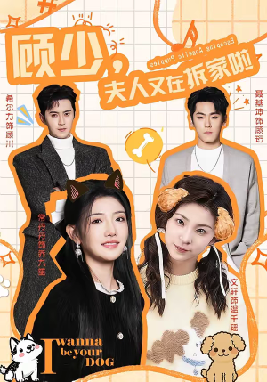 顾少，夫人又在拆家啦（78集）每日分享不一样的短剧