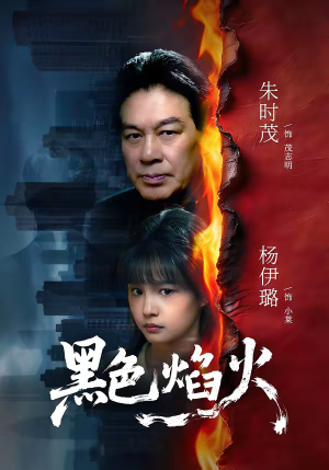黑色焰火（41集）好看的短剧分享