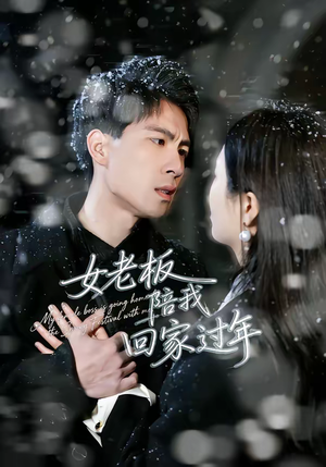 女老板陪我回家过年（40集）番茄短剧免费看