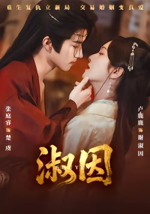 淑因（65集）短剧在哪个平台播放