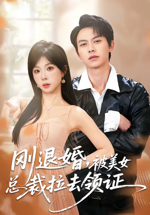 刚退婚，被美女总裁拉去领证（81集）在线免费看最新短剧