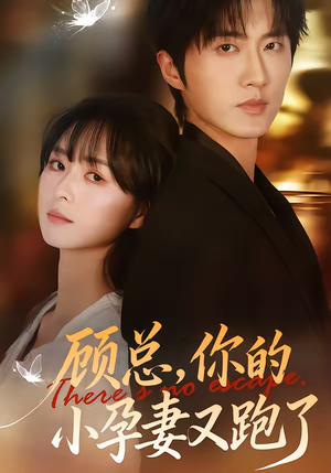 顾总，你的小孕妻又跑了（47集）番茄小说免费看短剧