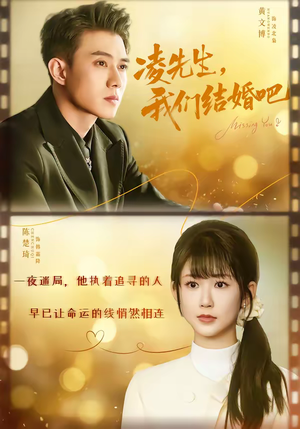 凌先生，我们结婚吧（68集）免费的短剧资源大全推荐