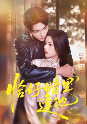 恰好暗里逢他（66集）短剧追到爽热播短剧