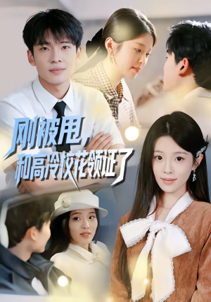 刚被甩，和高冷校花领证了（67集）我全都看完了的经典短剧回顾