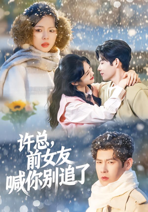 许总，前女友喊你别追了（80集）火爆热播短剧抢先看