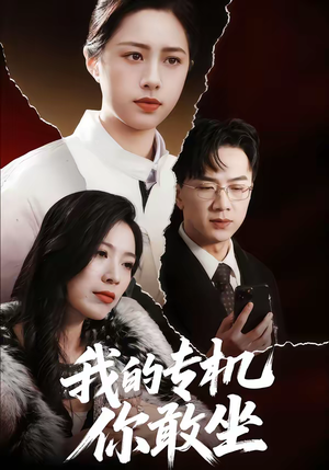 我的专机你敢坐（62集）在线看到短剧大结局