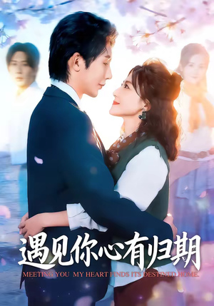 遇见你心有归期（81集）超好看短剧追不停