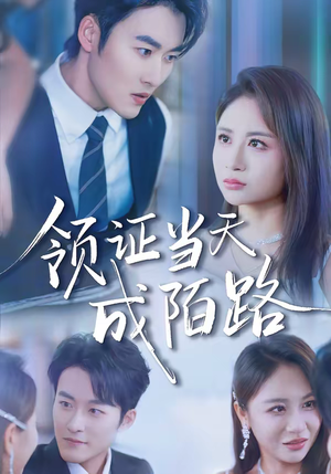领证当天成陌路（39集）短剧超清全集在线看