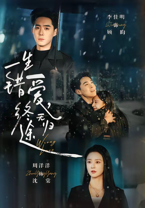 一生错爱，终无归途（74集）高分推荐短剧免费看