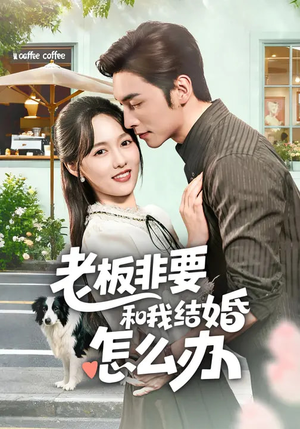 老板非要和我结婚怎么办(50集) 老板非要和我结婚怎么办(50集)短剧分享关注我一起追剧