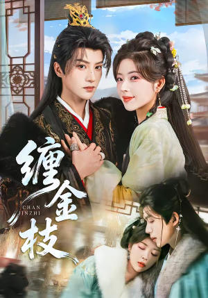 缠金枝（69集）看上一眼就上头短剧