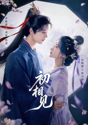 初相见（76集）最新火爆短剧来袭