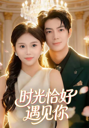 时光恰好遇见你（80集）短剧全集大结局完整版