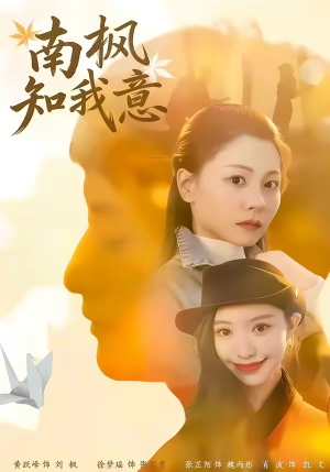 南枫知我意（41集）超级好看的短剧