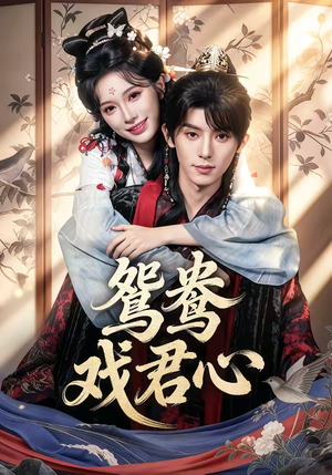 鸳鸯戏君心（60集）睡不着一起追短剧吧