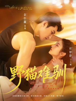 野猫难驯（73集）短剧完结全集限免刷